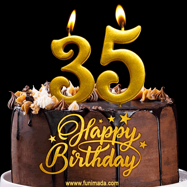 Candle on birthday cake with 35 number age Vector Image