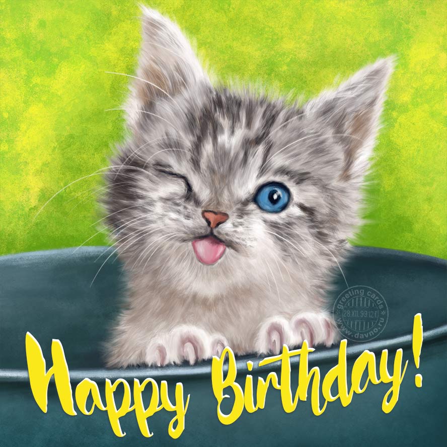 Happy Birthday Cat GIFs — Download on Funimada.com