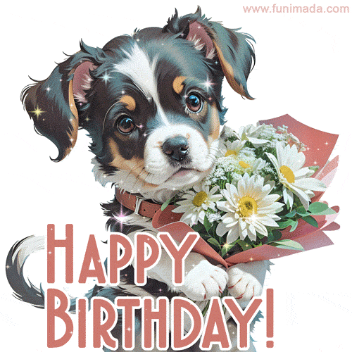 Happy Birthday Gif Funny Dog @