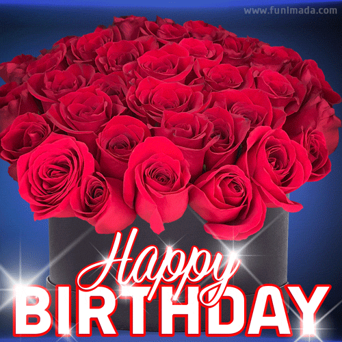 Happy Birthday Roses Images – Browse 112,743 Stock Photos, Vectors, and  Video