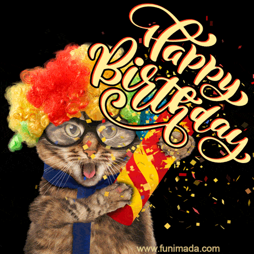 Happy Birthday Cats Gif This is the unique collection of birthday cat