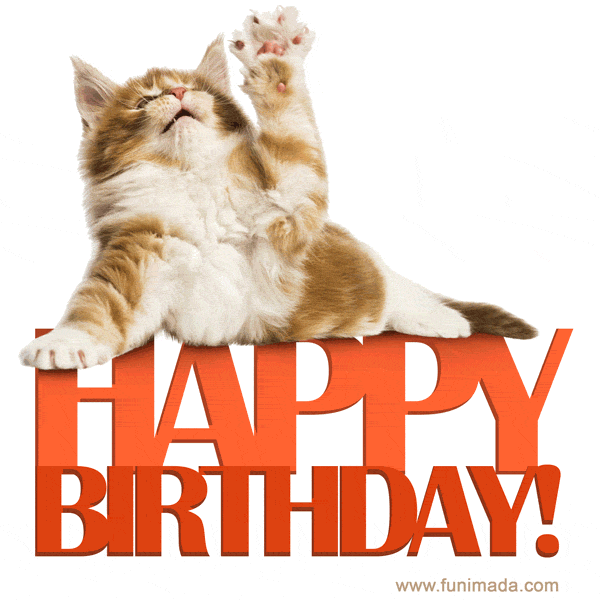 funny happy birthday cat