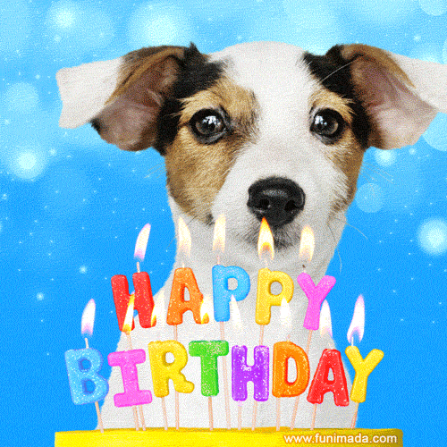 Happy Birthday Dog GIFs — Download on Funimada.com
