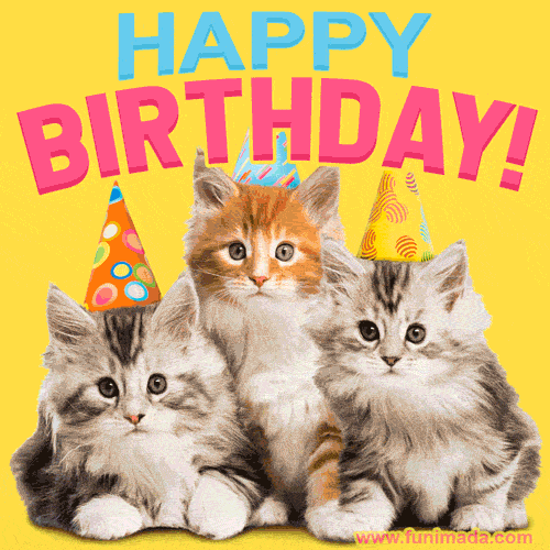Three cute little kittens happy birthday gif — Download on ...