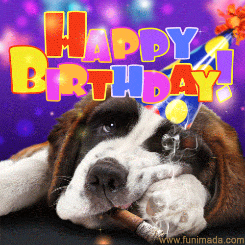 Happy Birthday To Dog GIFs