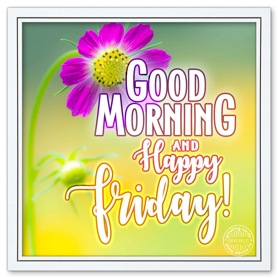 Good Morning and Happy Friday! - Download on Funimada.com