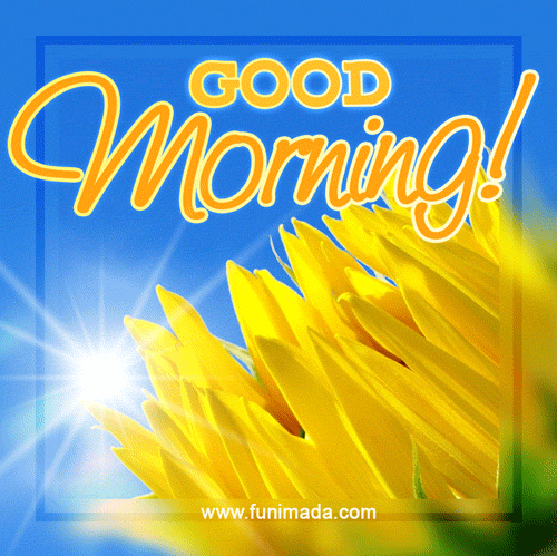 40+ Good Morning Gif Image - Pictures and Graphics for different festivals