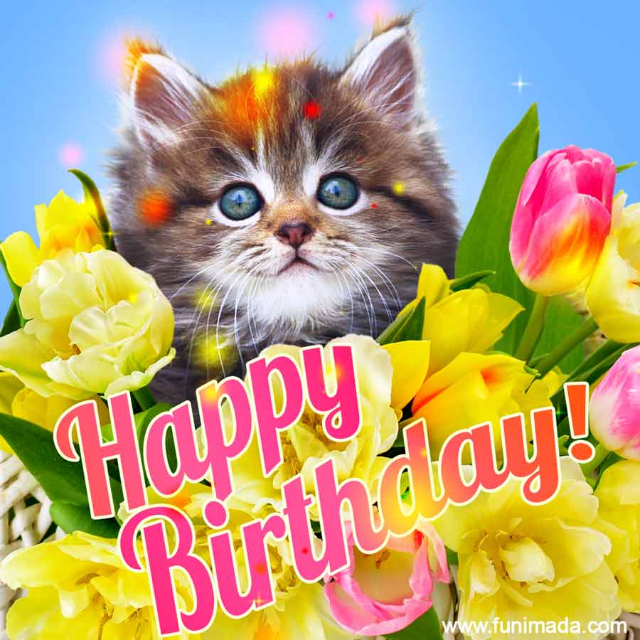 Happy birthday my dear! Cute cat birthday card. — Download on ...