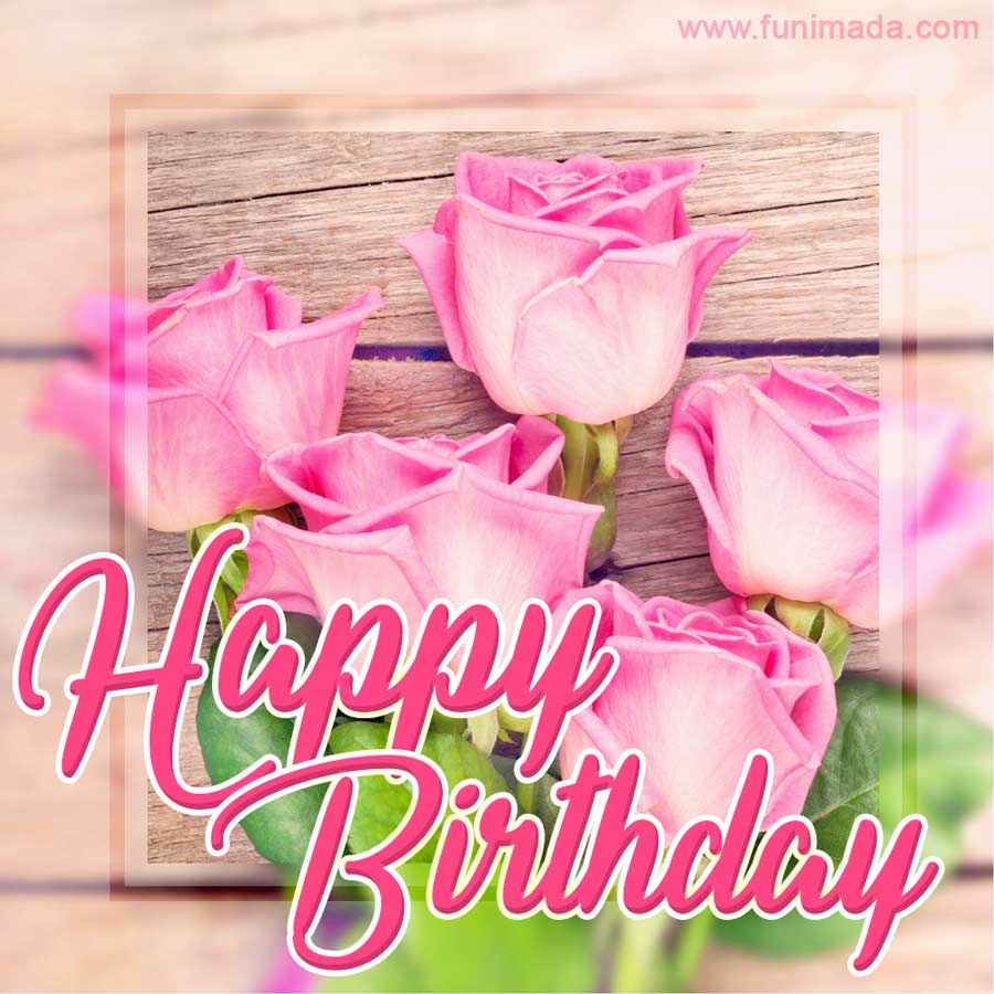 Cute pink roses bouquet and happy birthday message video - Download ...