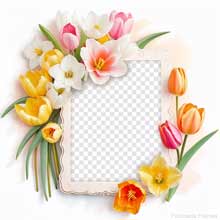 A pastel photo frame surrounded by spring tulips in yellow, white, pink, and orange with green leaves, forming a delicate floral border around a transparent center.